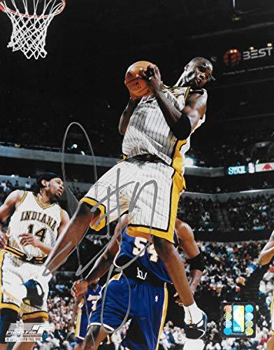Jermaine O'Neal signed Indiana Pacers basketball 8x10 photo COA