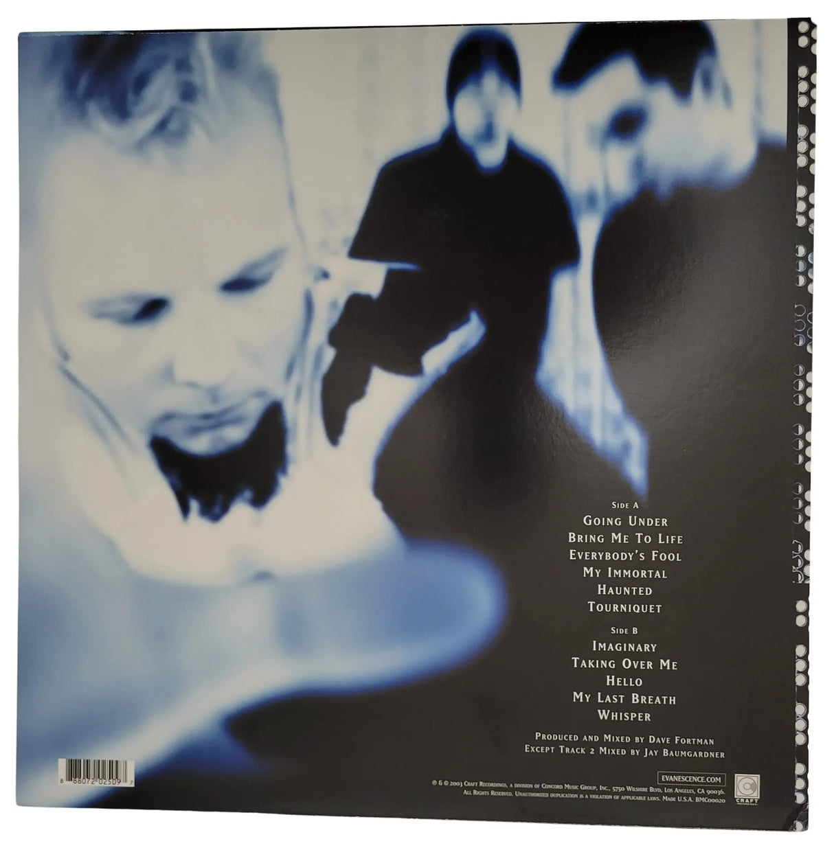 Amy Lee signed Evanescence Fallen album COA exact proof autographed vinyl record STAR