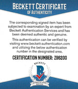 Todd Rundgren signed Tortured Artist Effect album vinyl record proof Beckett COA STAR