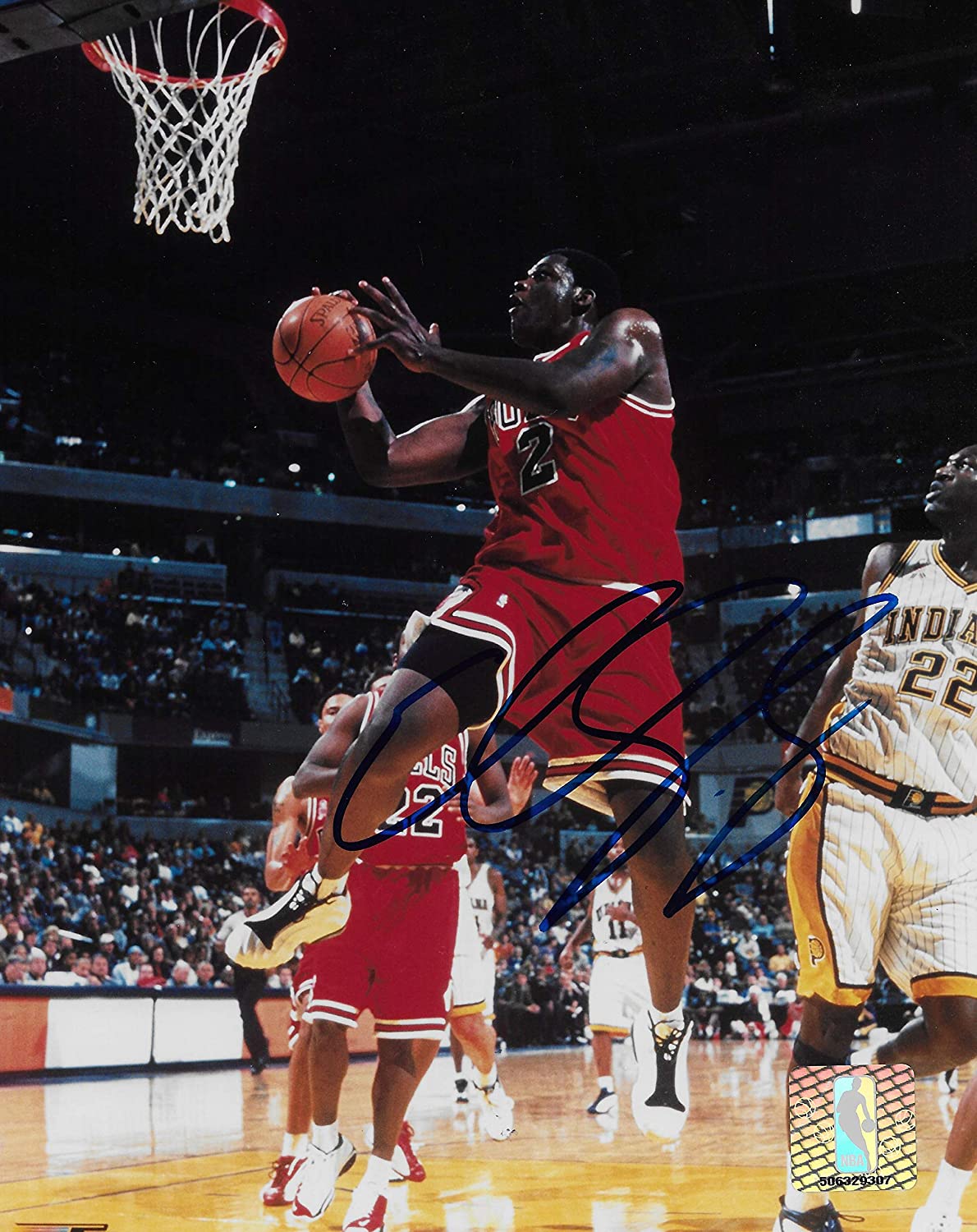 Eddy Curry Chicago Bulls signed basketball 8x10 photo COA