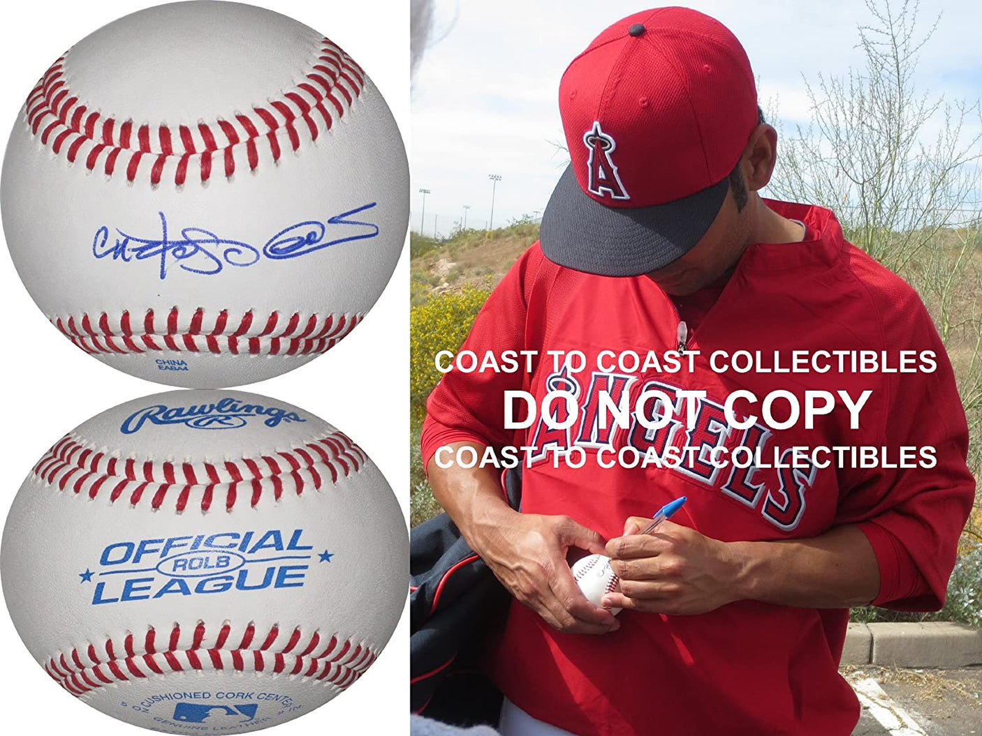 Carlos Pena Tampa Bay Rays Oakland A's Rangers signed autographed baseball proof