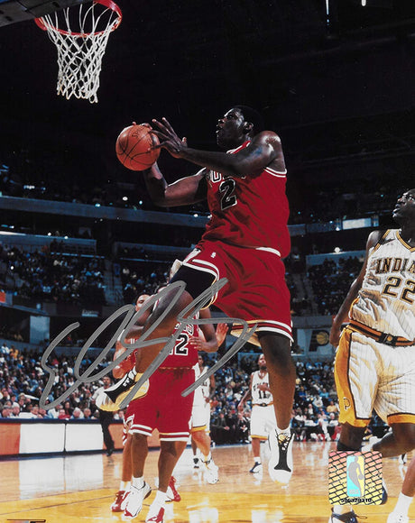 Eddy Curry signed Chicago Bulls basketball 8x10 photo COA