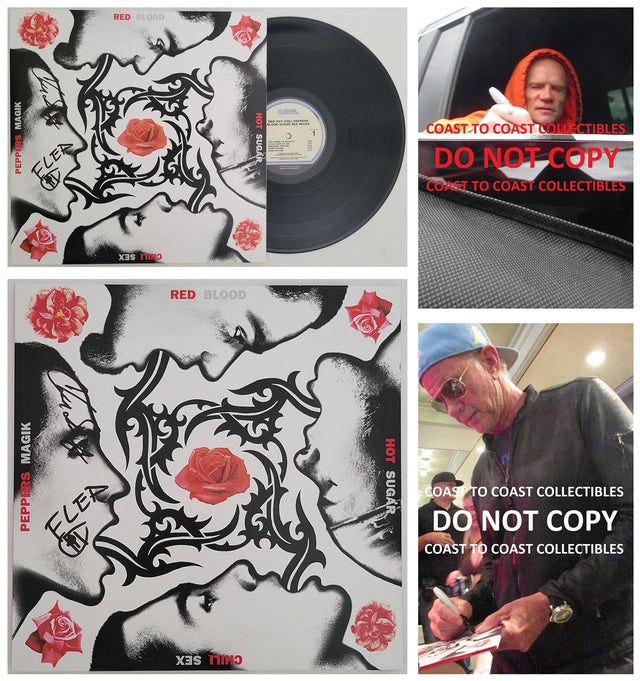 Flea & Chad Smith signed Chili Peppers Blood Sugar Sex Magik album proof STAR