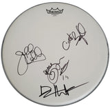 Dave Matthews Carter Beauford Tim Reynolds Jeff Coffin signed Drumhead COA proof Star