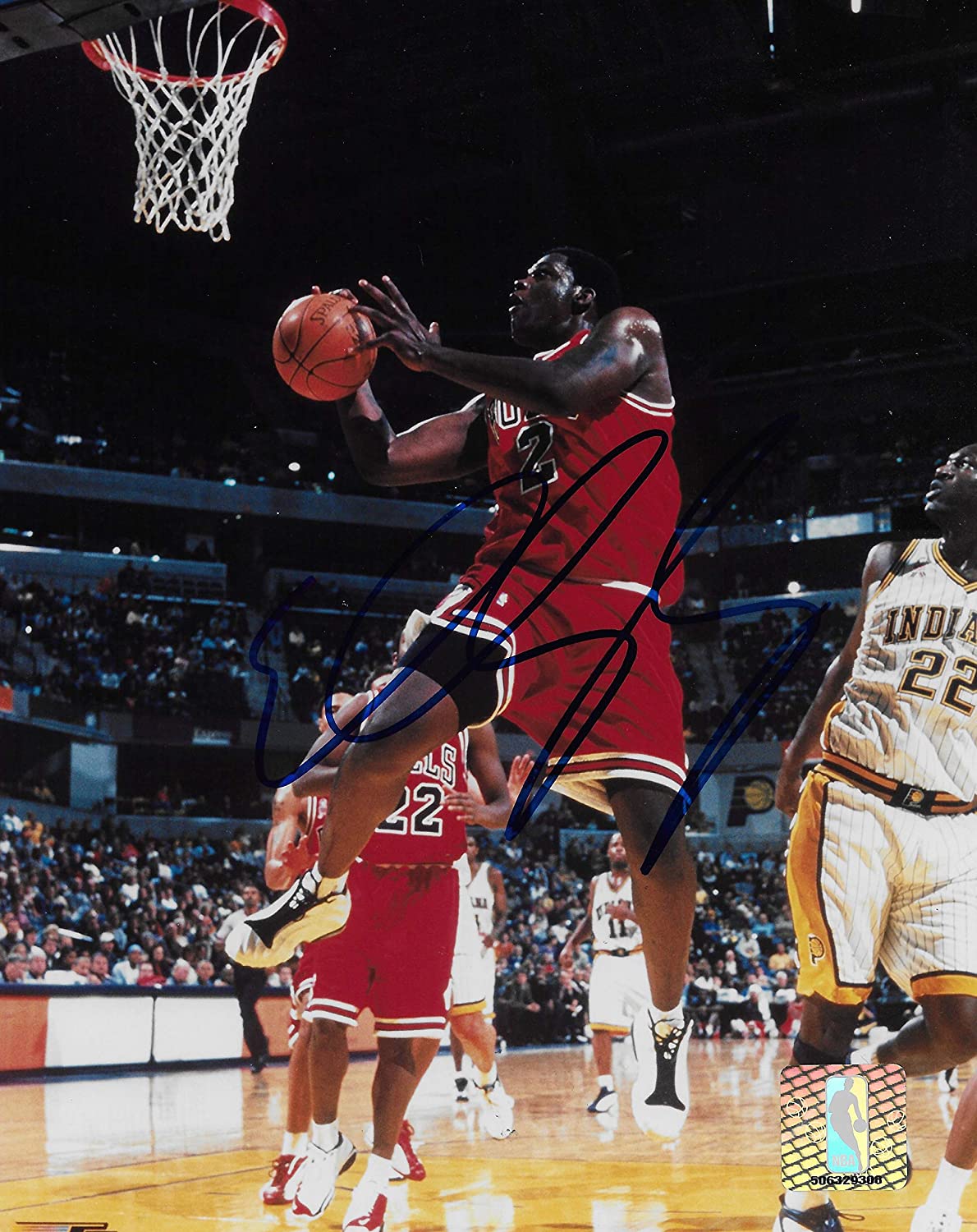 Eddy Curry Chicago Bulls signed basketball 8x10 photo COA.