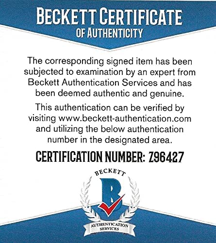 Andy Ruiz Jr Boxing Champion autographed boxing glove exact proof Beckett COA