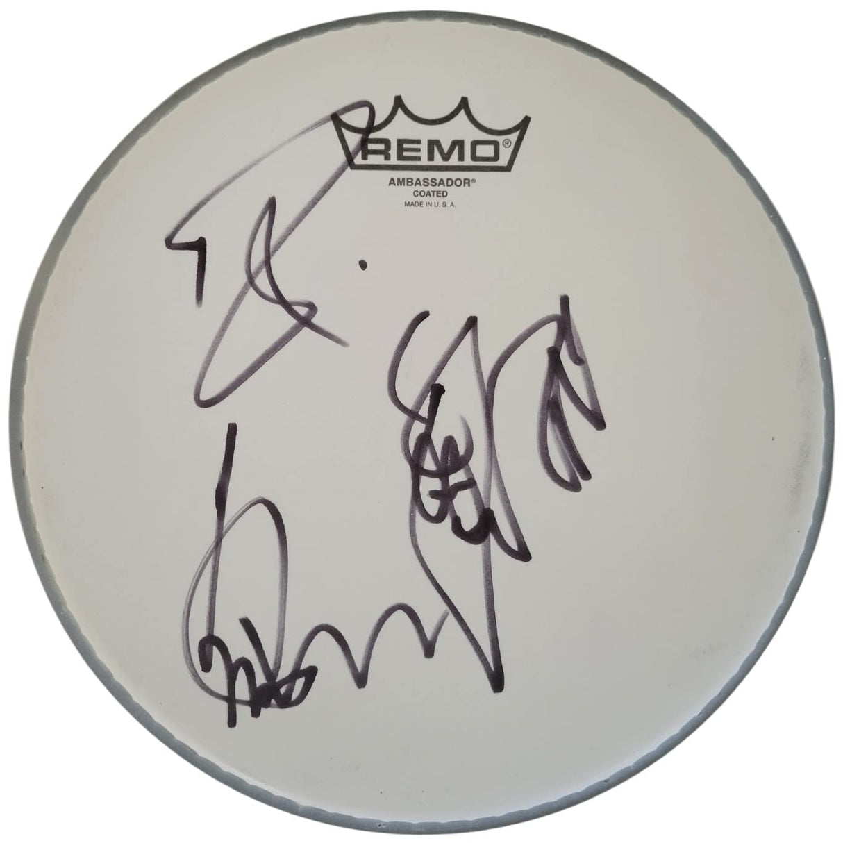 Cheap Trick band signed 8'' Drumhead COA proof Robin Zander,Rick Nielsen,Tom Peterson star