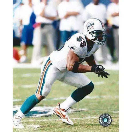 Junior Seau, Miami Dolphins, San Diego Chargers, Usc Trojans, Patriots, 8x10 Photo, Rare, R.I.P