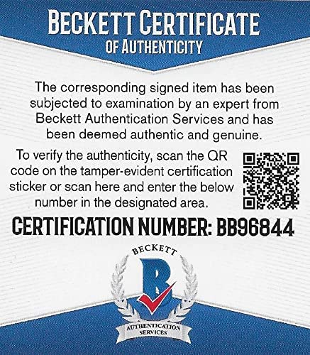 Dale Earnhardt signed Nation Wide Nascar full size helmet proof Beckett COA