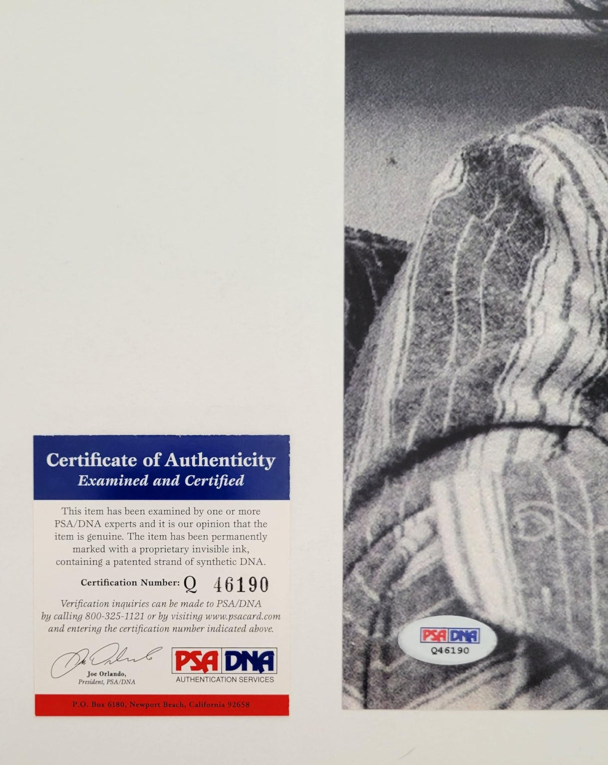 James Cameron Signed 11x14 Photo COA Proof Autographed Terminator Titanic Avatar.STAR